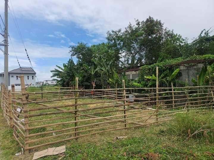 155 sqm Residential Lot For Sale in south spring Binan Laguna