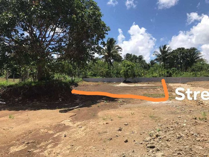 500 sqm Harvestfield Residential Farm Lot For Sale in Amadeo Cavite