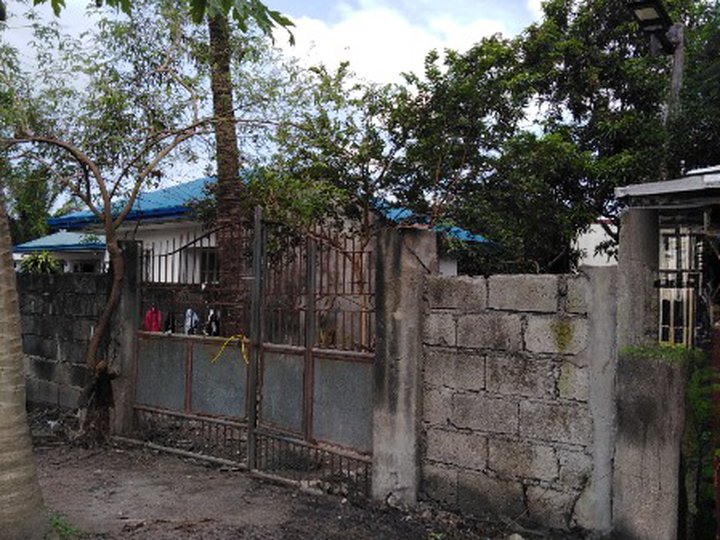 300 sqm Residential lot for Sale in Concepcion, Tarlac