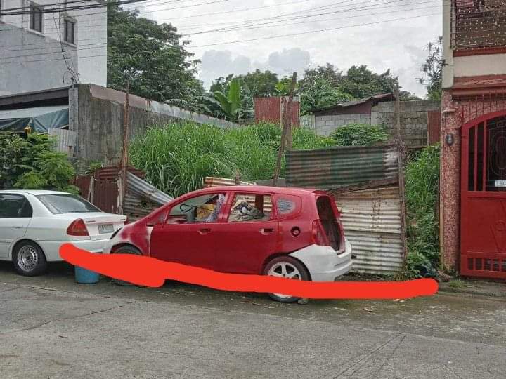 100 sqm Residential Lot For Sale in Novaliches Quezon City / QC Metro Manila