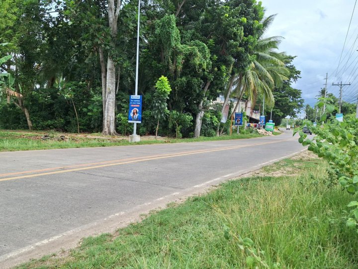 Commercial property for sale in Panglao Bohol Philippines.