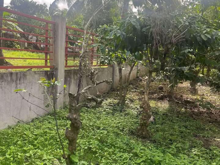 883 sqm Residential Farm For Sale in Alfonso Cavite