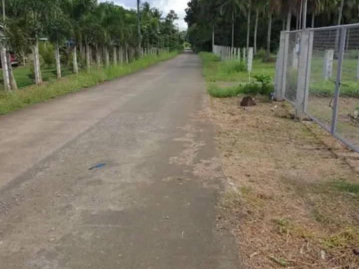 2,000 sqm Residential Farm For Sale in Padre Garcia Batangas