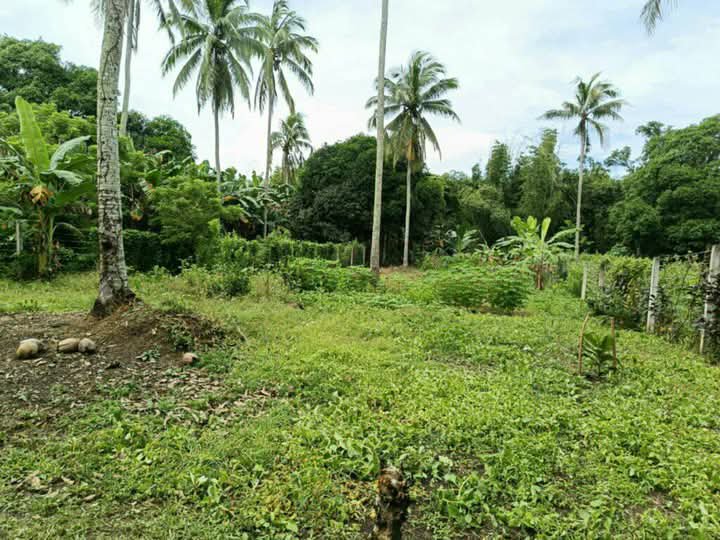 1,481 sqm Industrial Lot For Sale in Indang Cavite