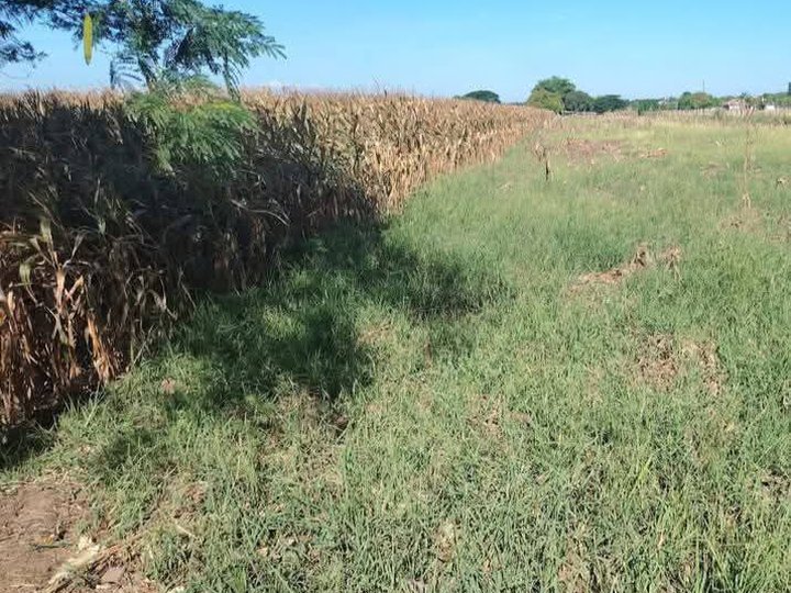 1 hectare Commercial Lot For Sale nueva ecija main road
