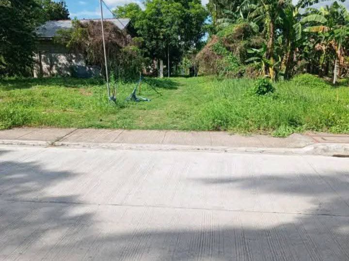 1,000 sqm Lot For Sale in Padre Garcia Batangas