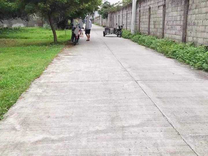 500 sqm Residential Lot For Sale in san fernandoPampanga