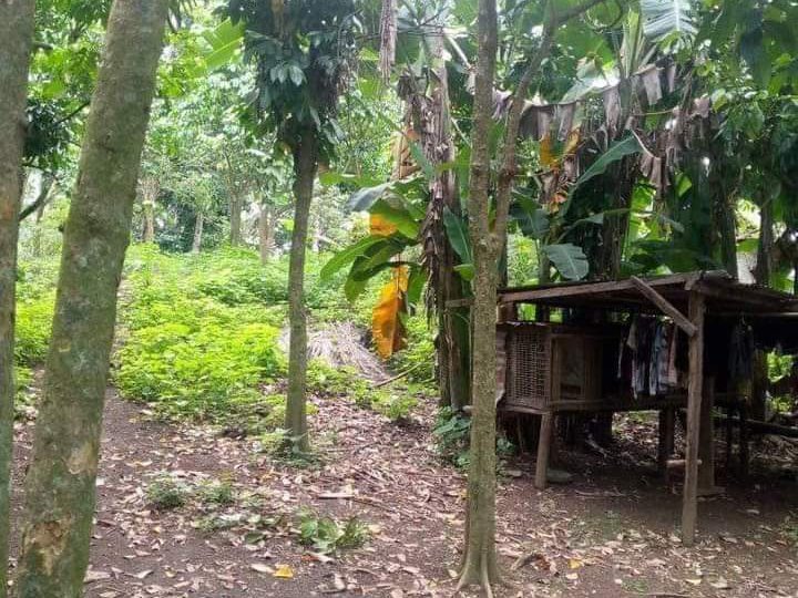 2,140 sqm Agricultural Farm For Sale in San Jose Batangas