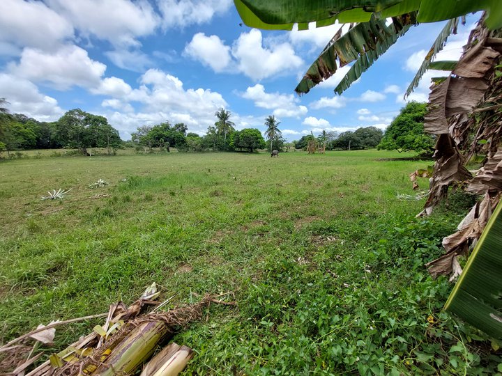 Minimum of 240sqm Residental Farm Lot for sale in Silang Cavite.