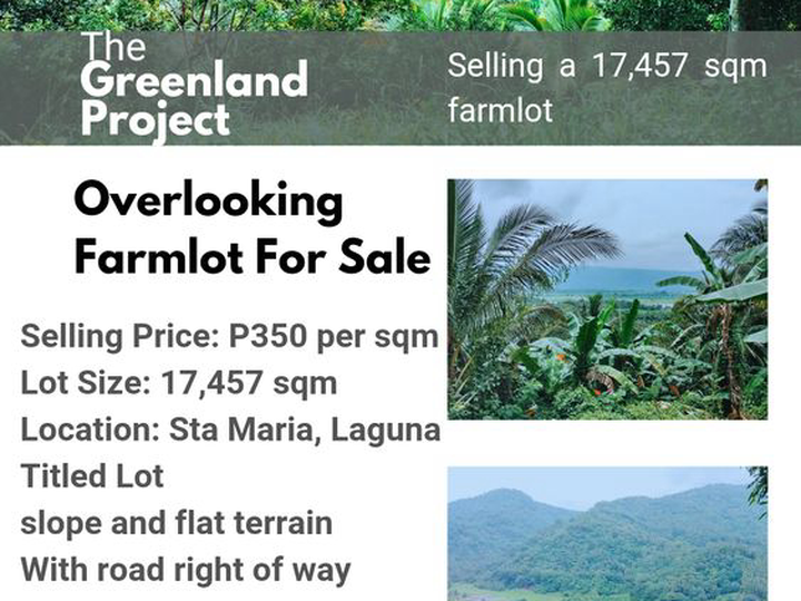 1.75 hectares Agricultural Farm For Sale in Santa Maria Laguna