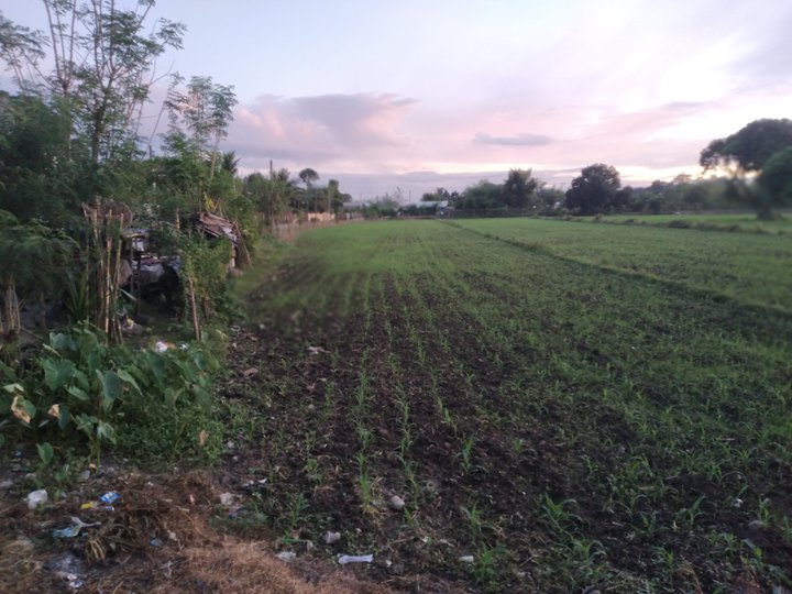 Farmlands and residential lands