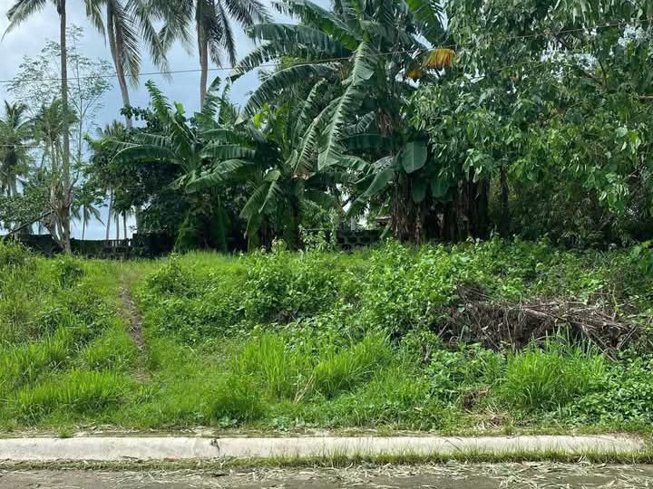 170 sqm Residential Farm For Sale in san pablo Laguna