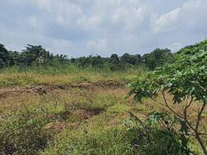3500 sqm Industrial Lot For Sale in Silang Cavite