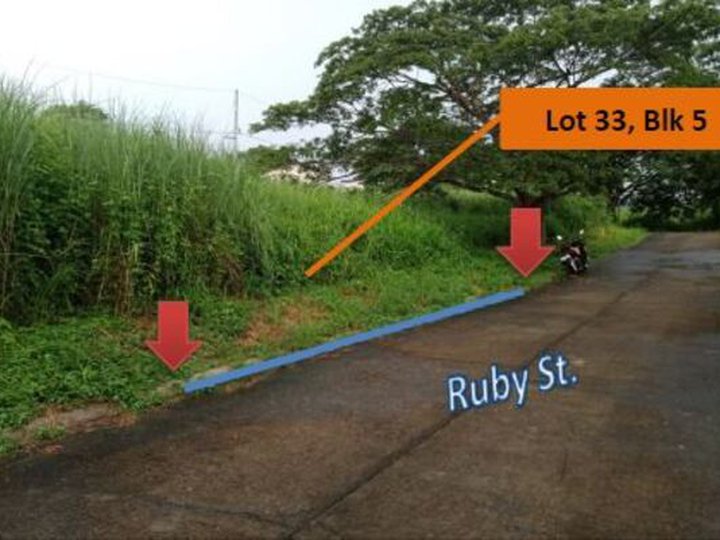 Foreclosed 159 sqm Residential Lot For Sale in Batangas City