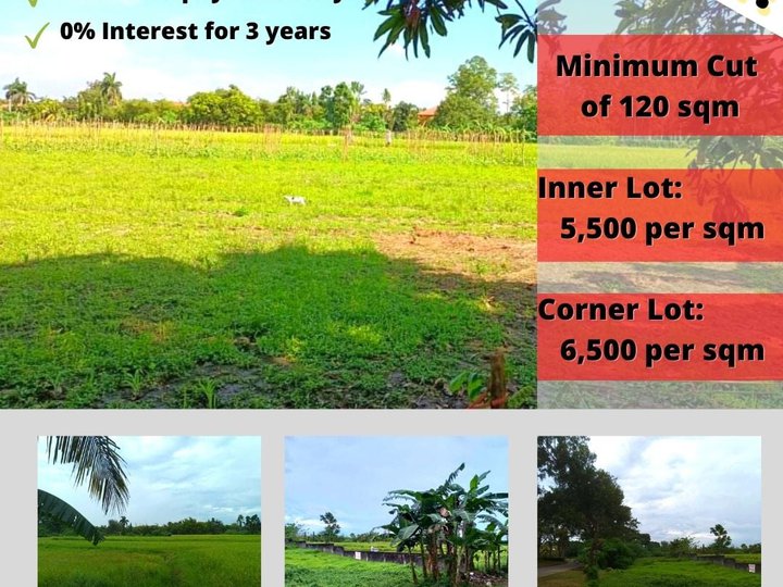 lot for sale with installment