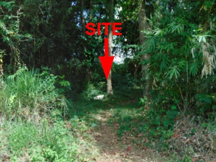 Foreclosed 5,000 sqm Residential Lot For Sale in Limay Bataan