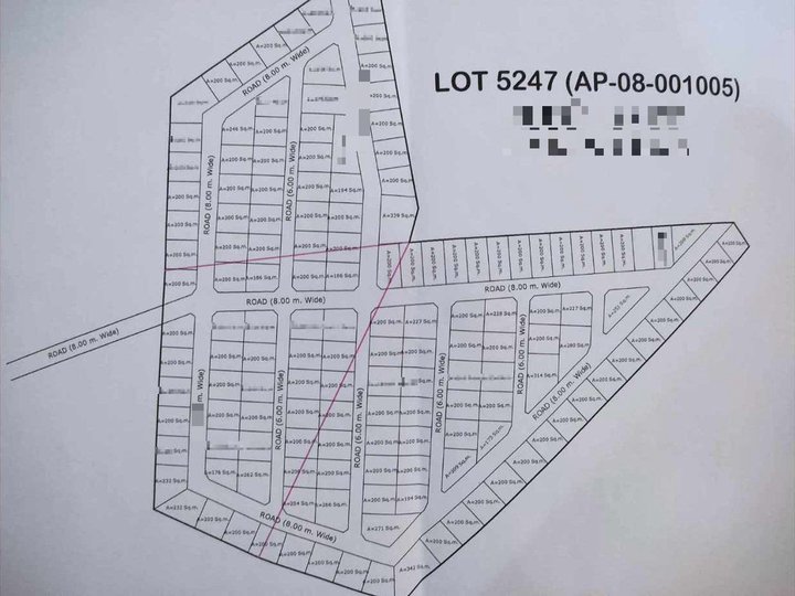 4.17 ha lot for sale in Calbayog City, Samar