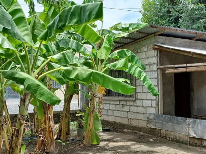 2,853 sqm. Lot Area for Sale in Moncada Tarlac City [Lot 🚜] (September