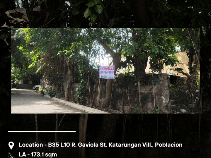 173.1 sqm Residential Lot For Sale in Katarungan Village, Muntinlupa