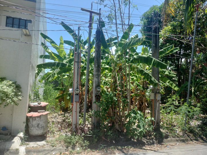 A 149.50 sqm residential lot in Katarungan Village, Poblacion, Muntinlupa City