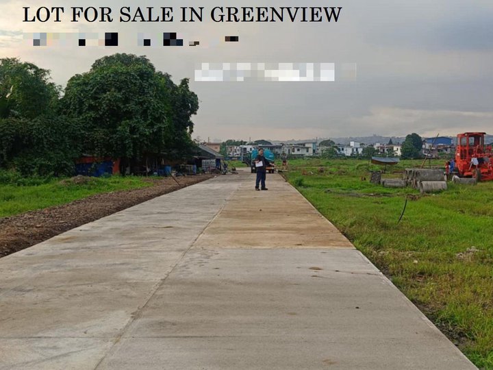 I'm selling titled residential lot in greenview subdivision,quezon city 09759663299