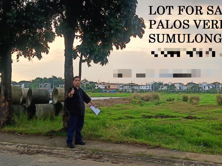 I'm selling titled,rfo residential lot in palos verdes subdivision,sumulong highway,antipolo city