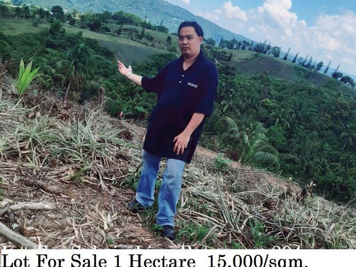 I'm selling titled residential lot in teresa rizal 30sqm. 180,000  5,000reservation 49Tdp 3500/mo3yr