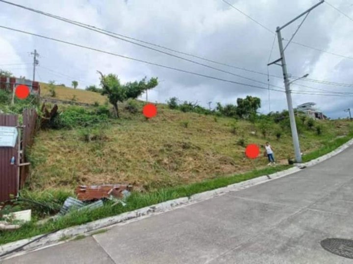 300 sqm Residential Lot For Sale in Talisay Cebu