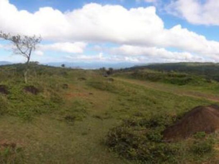 Foreclosed 17.12 hectares Residential Lot For Sale in Lumban Laguna