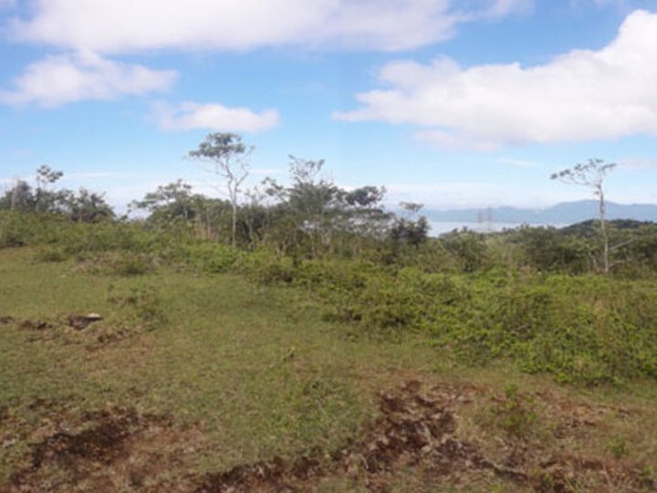 Prime 171,236 sqm Vacant Lot in Lumban, Laguna