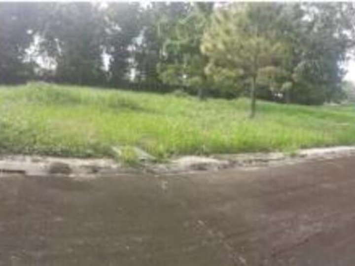 Foreclosed 608 sqm Residential Lot For Sale in Santa Rosa Laguna