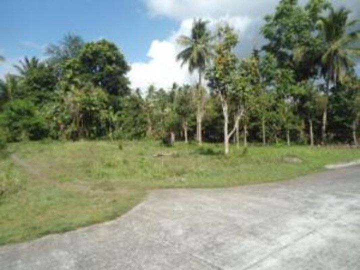 Foreclosed 770 sqm Residential Lot For Sale in San Pablo Laguna