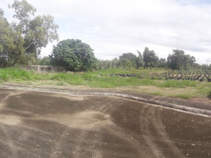 Foreclosed 774 sqm Residential Lot For Sale in Santa Rosa Laguna