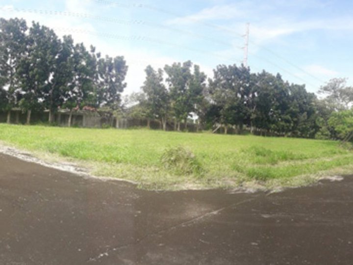 Foreclosed 835 sqm Residential Lot For Sale in Santa Rosa Laguna