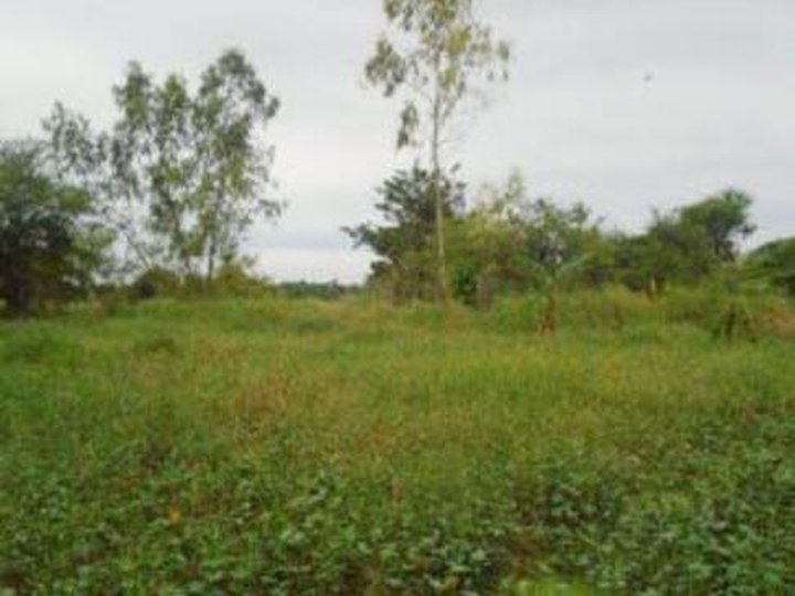 For Sale by Owner ,4,193 sqm Residential Lot For Sale in Binan Laguna