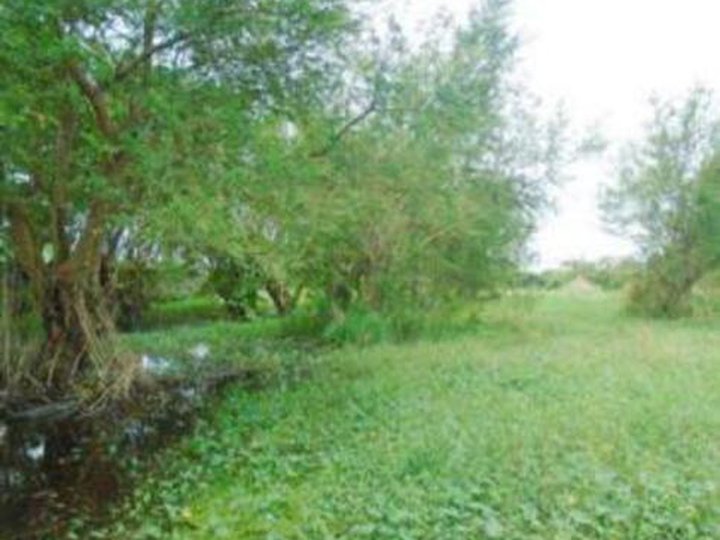 Foreclosed 4,193 sqm Residential Lot For Sale in Binan Laguna