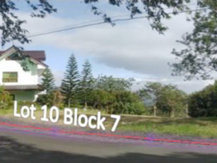 753 sqm Residential Lot in Tanauan's Plantation Hills Community