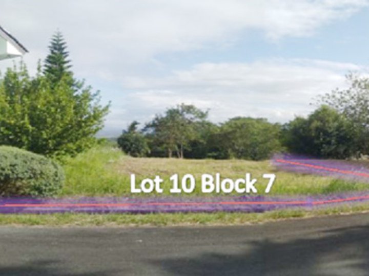 Tagaytay Midlands Plantation Hills Foreclosed Residential Lot For Sale in Tanauan Batangas