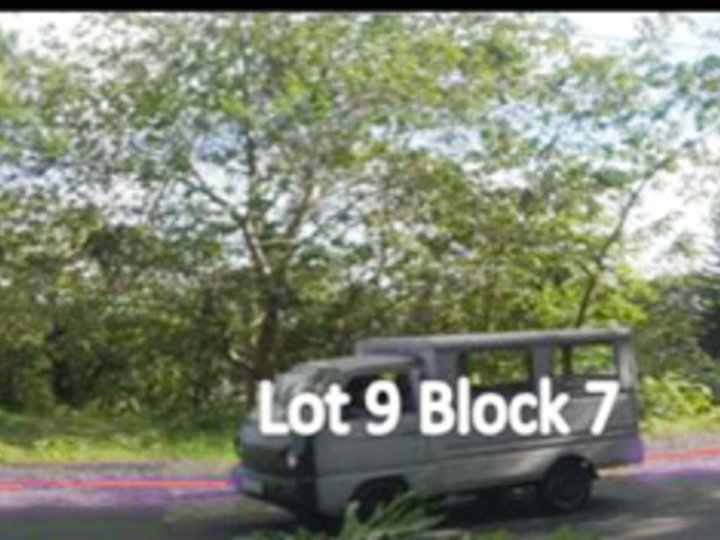 Foreclosed 752 sqm Residential Lot For Sale in Tanauan Batangas