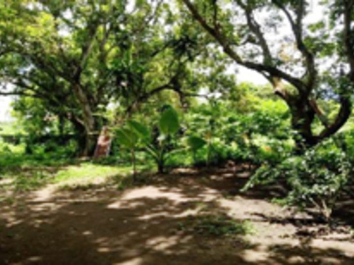 Foreclosed 2.58 hectares Residential Lot For Sale in Los Banos Laguna