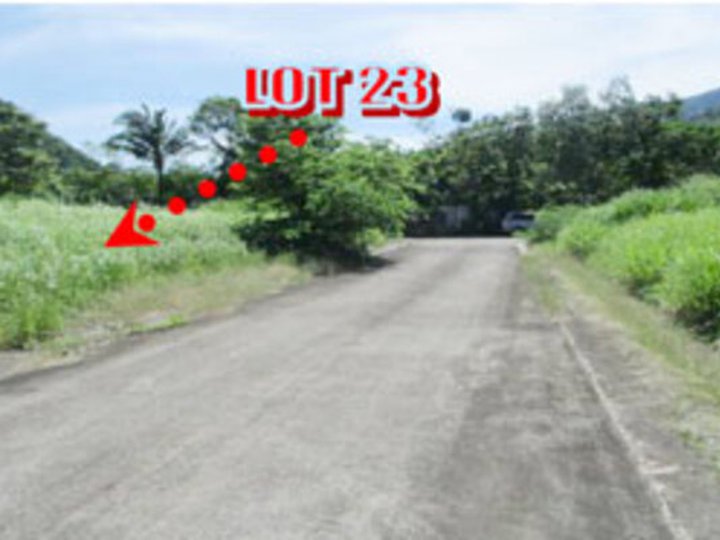 Foreclosed 338 sqm Residential Lot For Sale in Santo Tomas Batangas