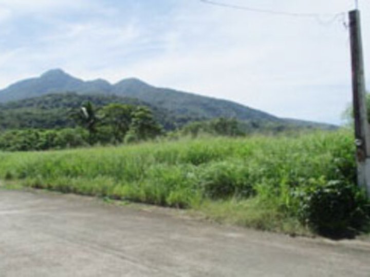 Foreclosed 328 sqm Residential Lot For Sale in Santo Tomas Batangas