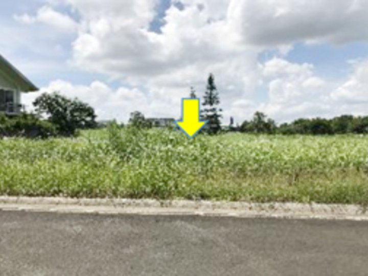 Foreclosed 397 sqm Residential Lot For Sale in Tanauan Batangas