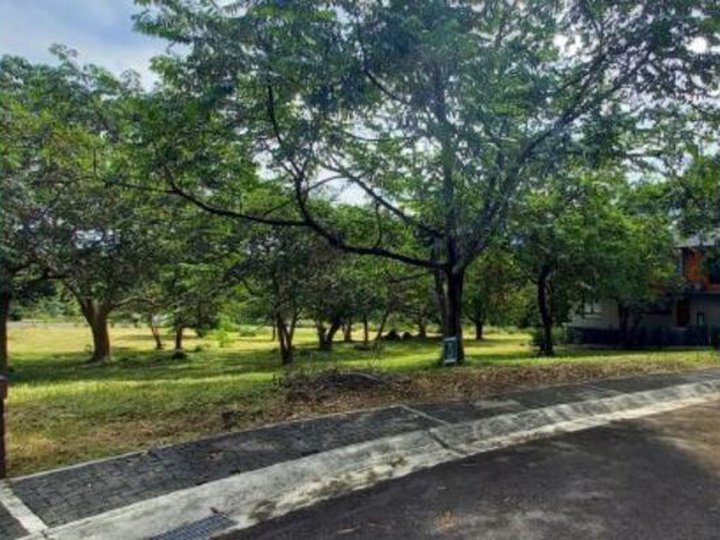 Foreclosed 130 sqm Residential Lot For Sale in Batangas City