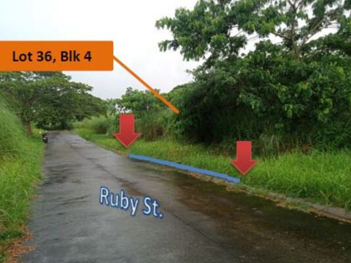Foreclosed 130 sqm Residential Lot For Sale in Batangas City