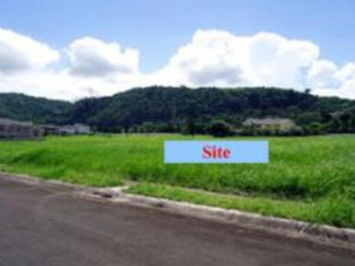 Foreclosed 351 sqm Residential Lot For Sale in Tanauan Batangas