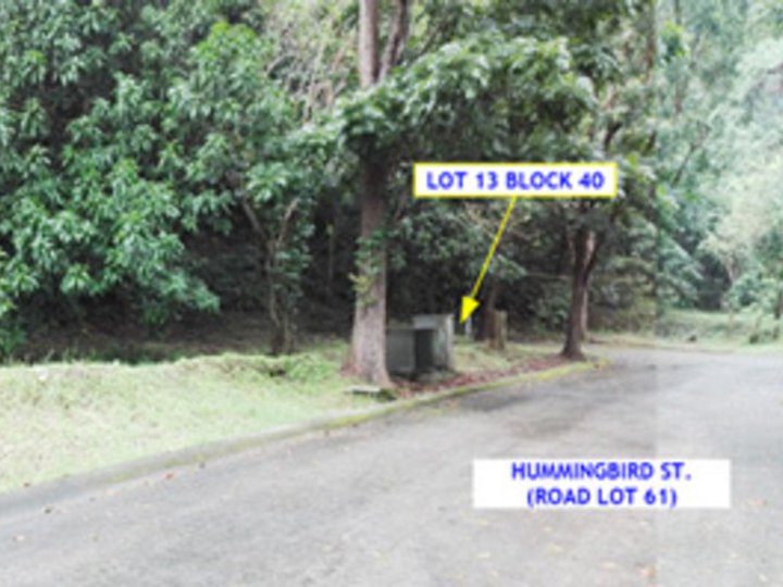Foreclosed 397 sqm Residential Lot For Sale in Laurel Batangas
