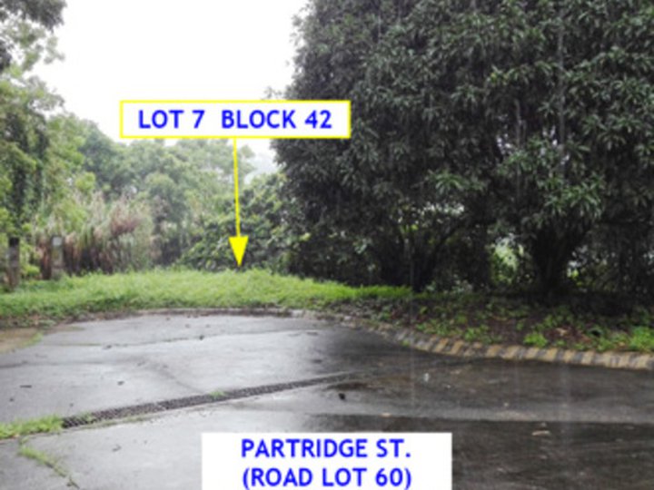 Foreclosed 594 sqm Residential Lot For Sale in Laurel Batangas