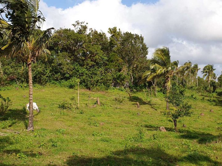 Residential Farm lot for sale near Tagaytay with Cemented road