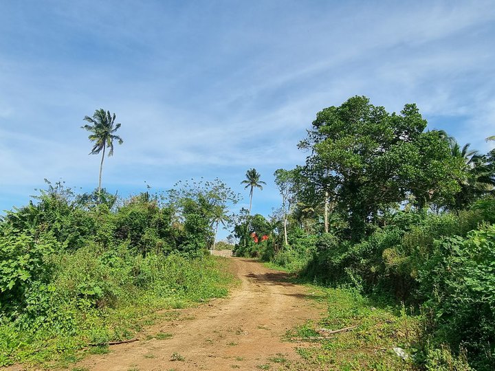 Residential farm lot for sale very affordable near Tagaytay